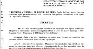 DECRETO N° 10/2025, PONTO FACULTATIVO