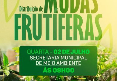 DISTRIBUIÇÃO DE MUDAS FRUTÍFERAS